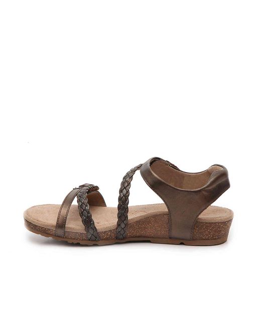 dsw aetrex