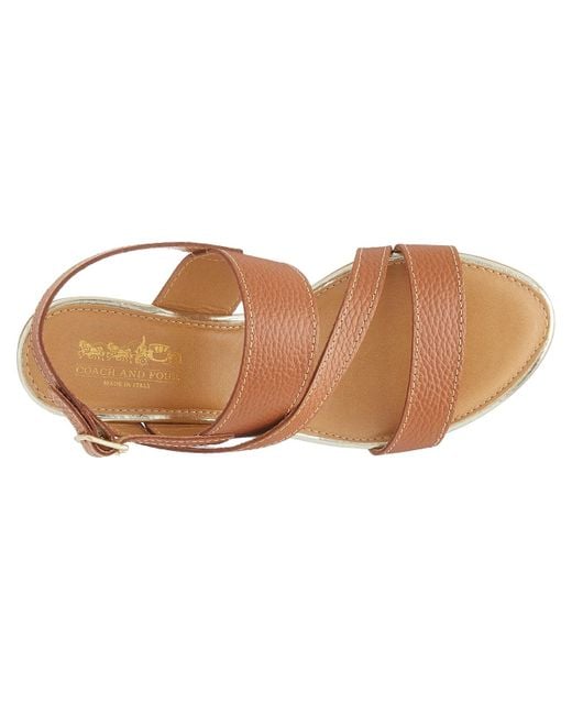Coach and Four Brown Colombia Sandal