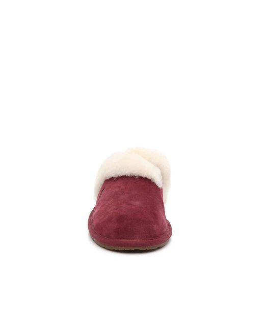 milo scuff slipper