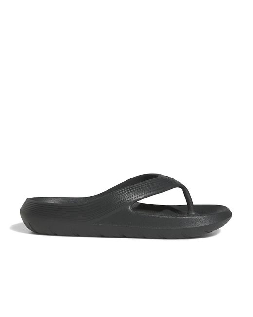 adidas Adicane Flip-flop in Black for Men | Lyst