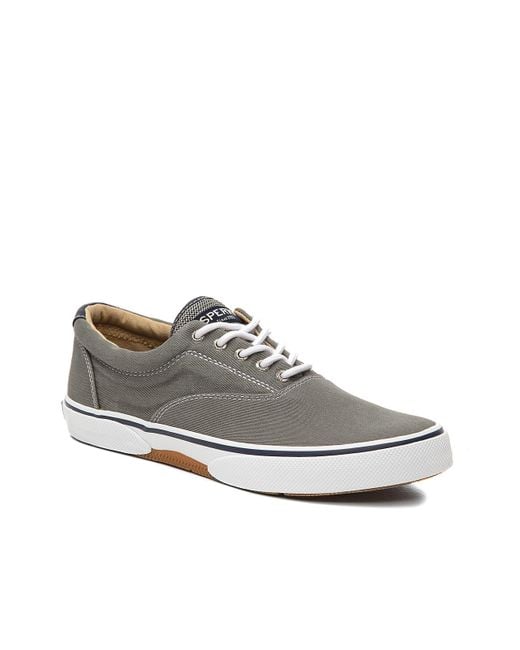 sperry top sider laceless
