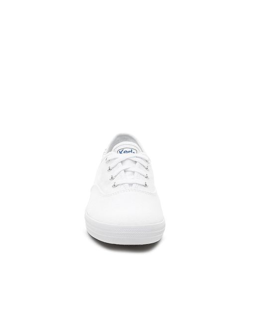 daisy keds