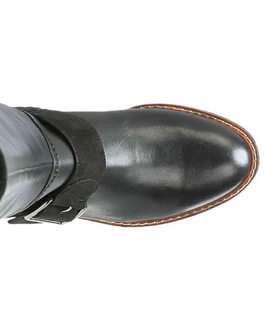 franco sarto cutler