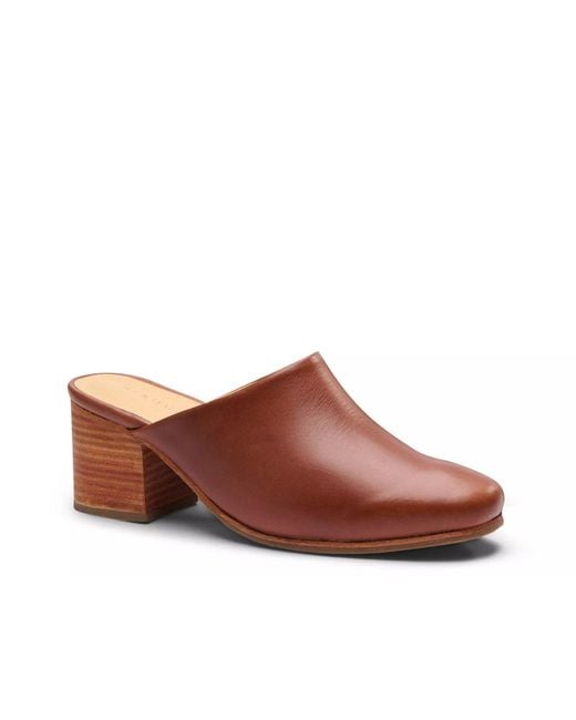 Nisolo Brown All Day Mule