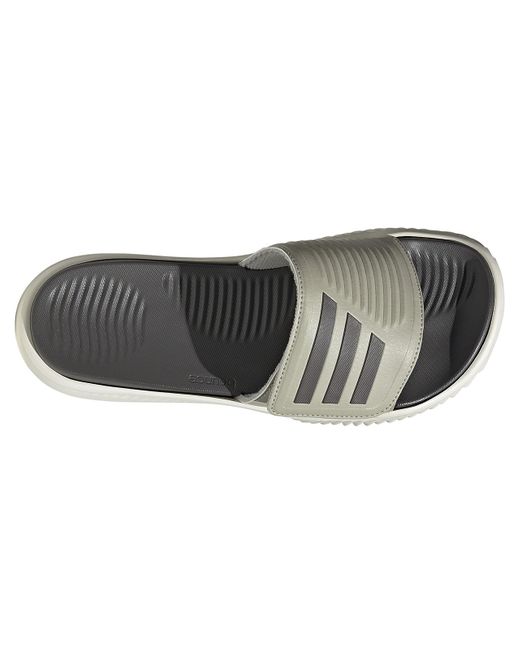 Adidas Gray Alphabounce 2.0 Slide Sandal for men