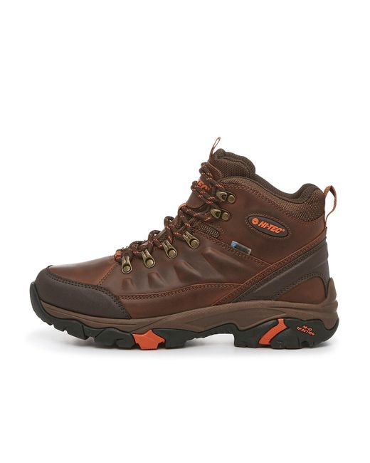 Hi-tec Brown Acadia Hiking Shoe for men