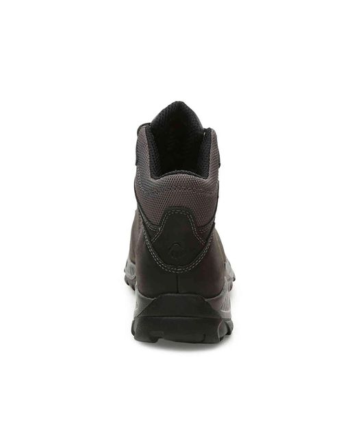 dsw wolverine