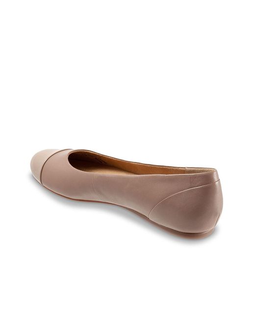 Softwalk® Brown Sonoma Ballet Flat