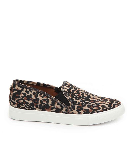 steve madden symba