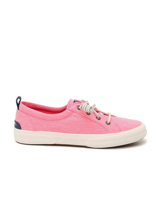 women's pier wave ltt canvas sneaker
