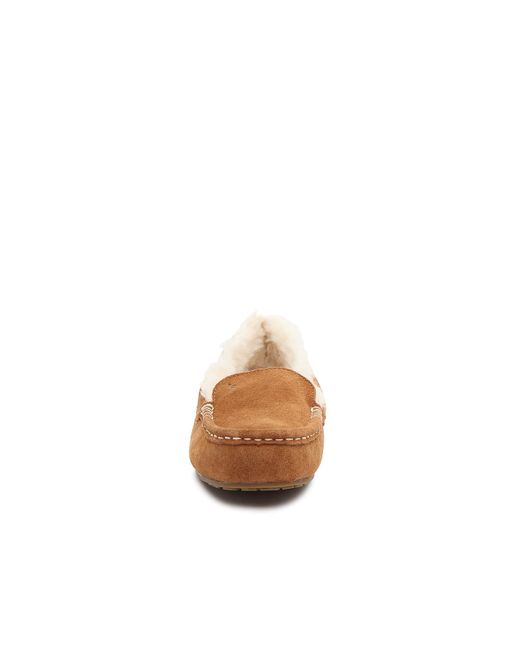 dsw ugg tasman slippers