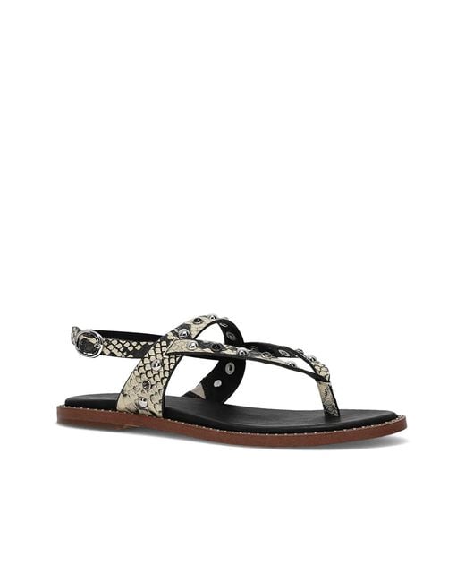 Frye & Co. Black Bucky Sandal