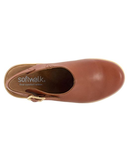 Softwalk® Brown Fairbanks Clog