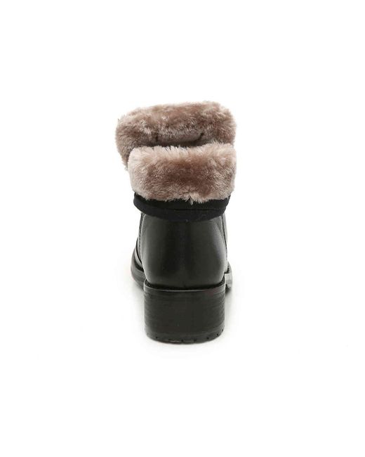 steve madden paloma booties