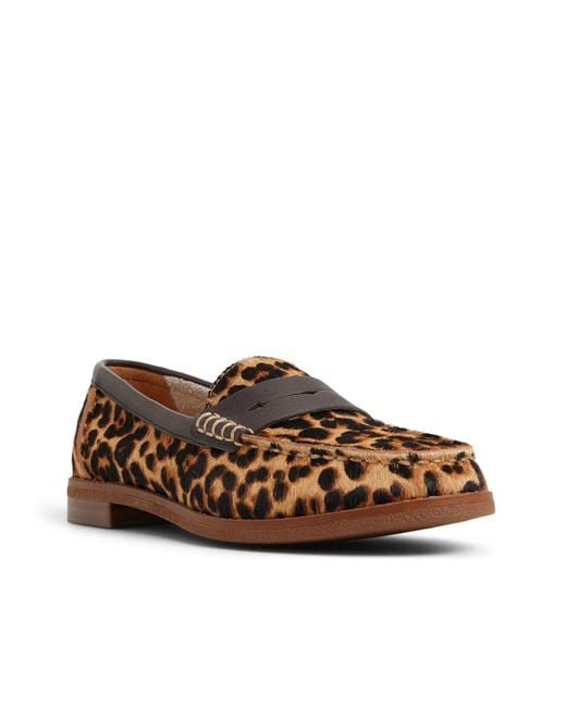 Sperry Top-Sider Brown Seaport Penny Loafer