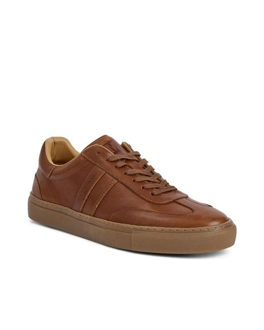 Bruno Magli Brown Ryan Sneaker for men