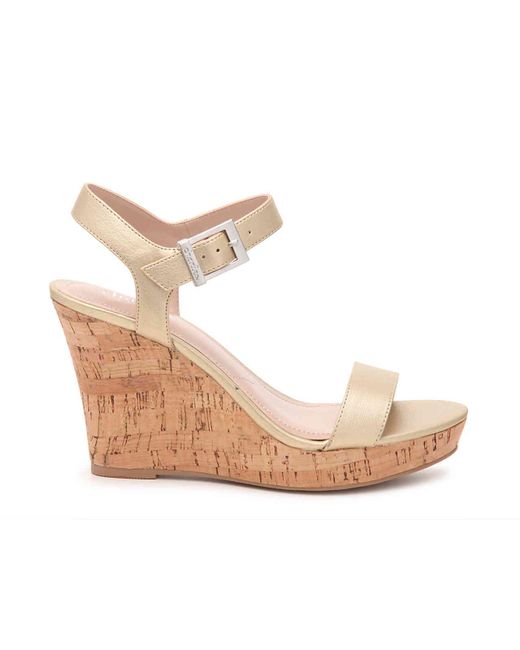 charles david lindy wedge