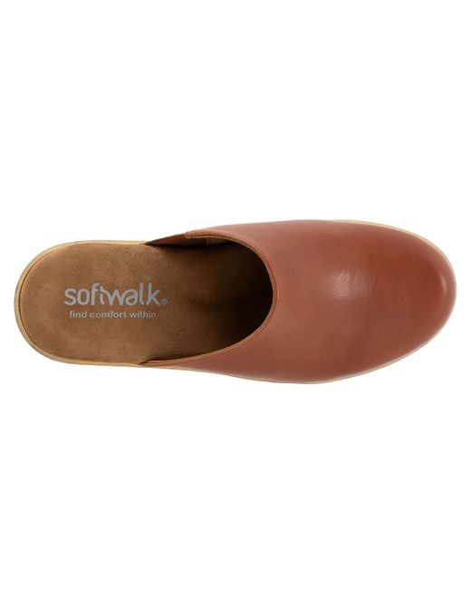 Softwalk® Brown Felida Clog