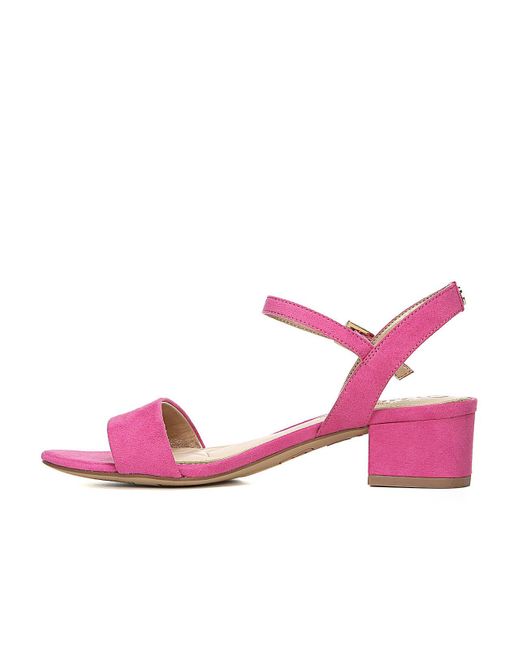 circus by sam edelman ibis
