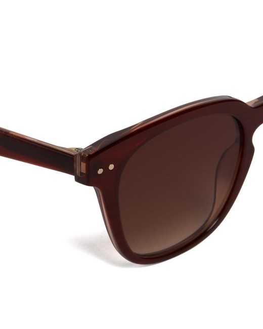 Dune Brown Owin Square Frame Acetate Sunglasses for men
