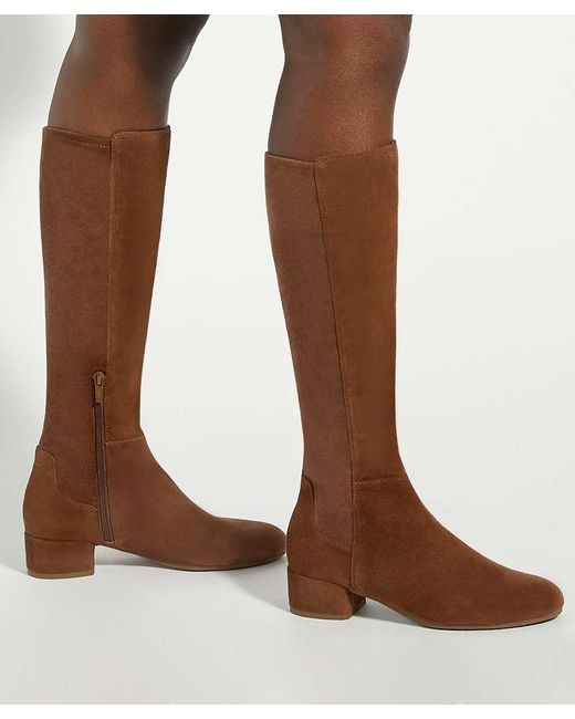Dune Brown Tayla Stretch Knee-High Boots