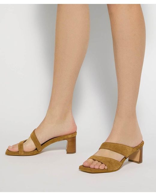 Dune Brown Jaeda Suede Block Heel Mules