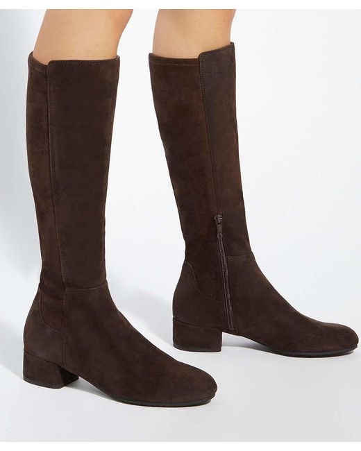 Dune Brown Tayla Stretch Knee-High Boots