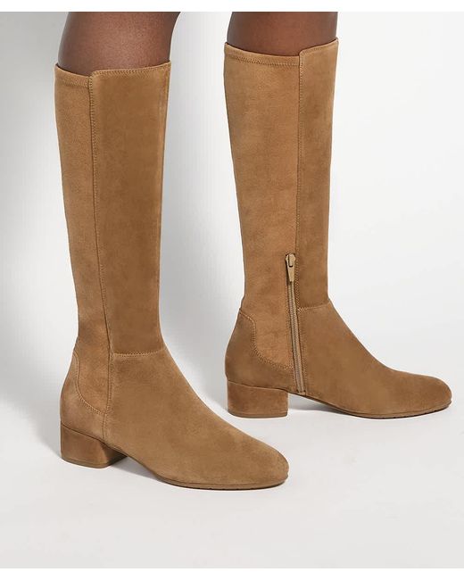 Dune Brown Tayla Stretch Knee-High Boots