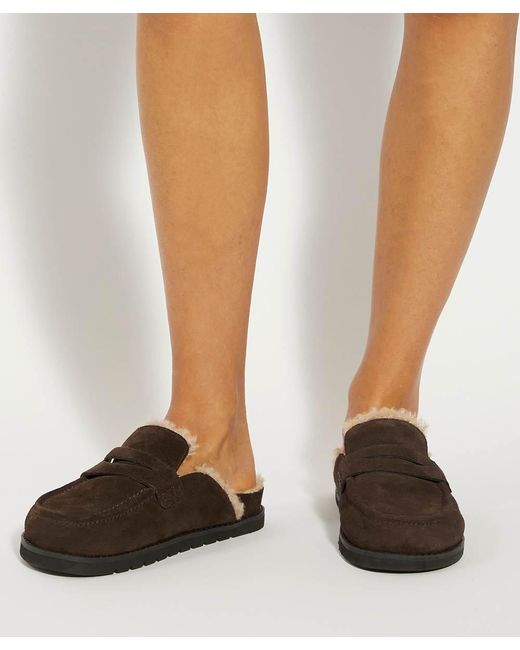 Dune Brown Goldys Faux Shearling Lined Backless Mule Suede Loafers