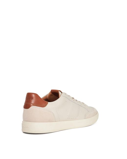 Dune Natural Tabor Cupsole Trainers for men