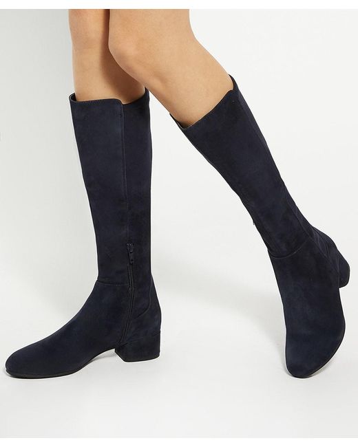 Dune Blue Tayla Stretch Knee-High Boots