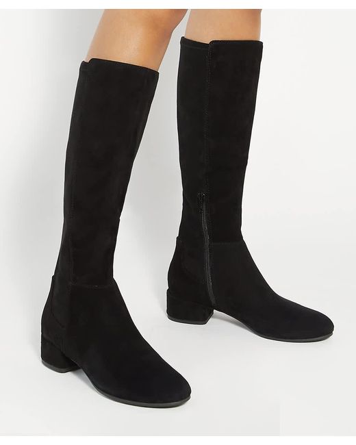 Dune Black Wf Tayla Wide Fit Stretch Knee-High Boots