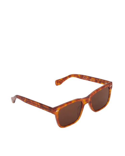Dune Brown Pedro Acetate Sunglasses for men
