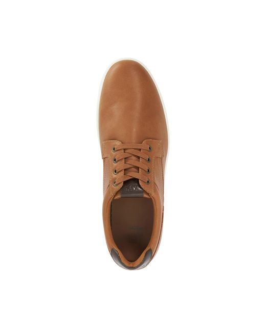 Dune Brown Tommus Lace-Up Trainers for men