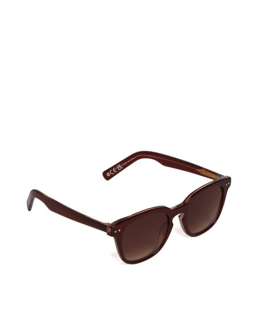 Dune Brown Owin Square Frame Acetate Sunglasses for men