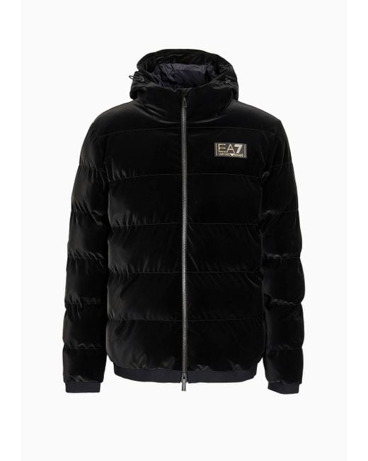 EA7 Black Gold Label Hooded, Padded Jacket for men
