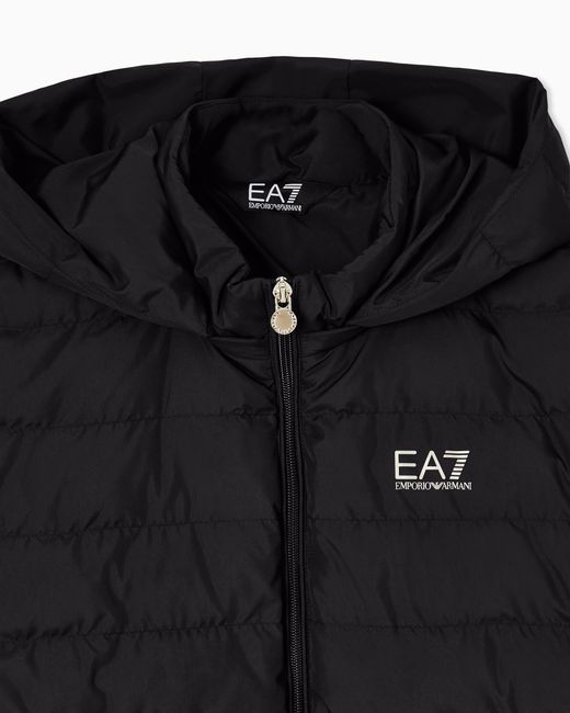EA7 Black Bomber Jacket Core Lady Light Eco Padding Regular Fit