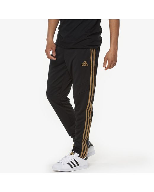adidas Synthetic Tiro 19 Pants in Black/Gold (Black) for Men - Lyst