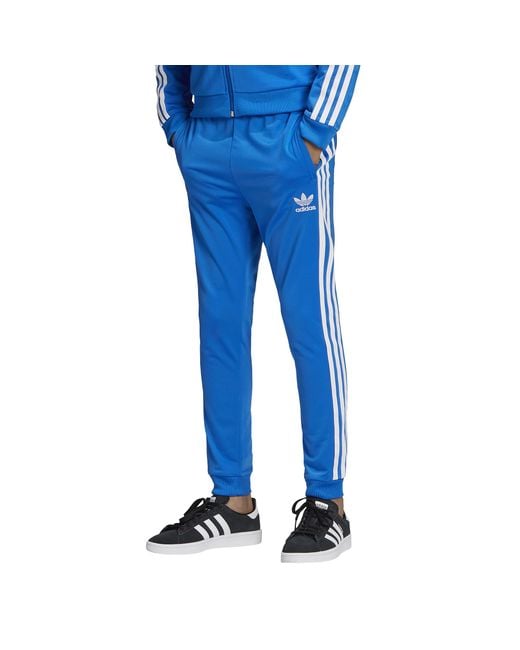 adidas originals superstar bluebird