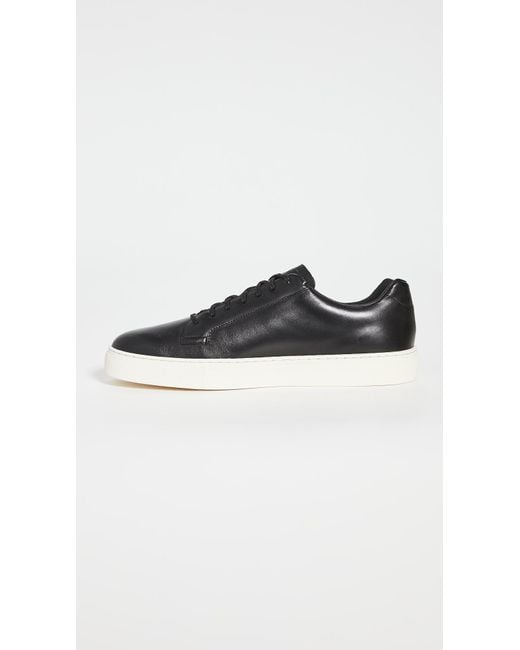 cole haan jensen sneaker