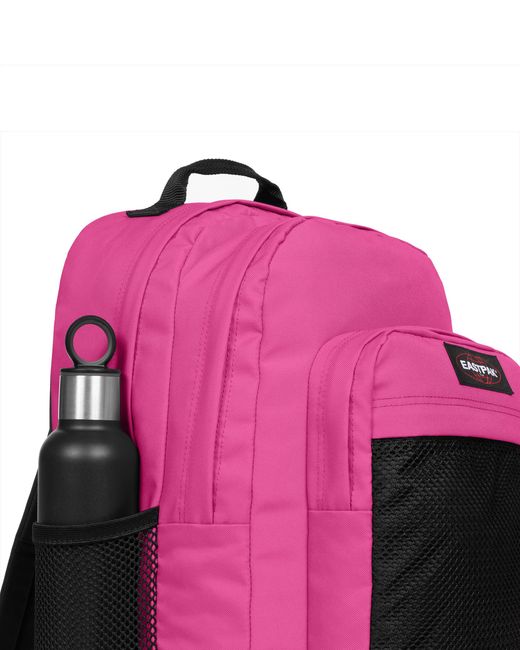 Study Buddy, 100% Polyamide di Eastpak in Pink