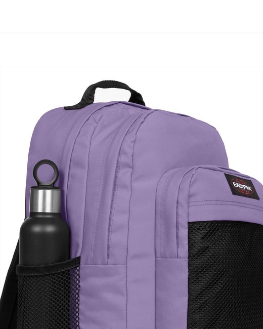 Study Buddy, 100% Polyamide di Eastpak in Purple