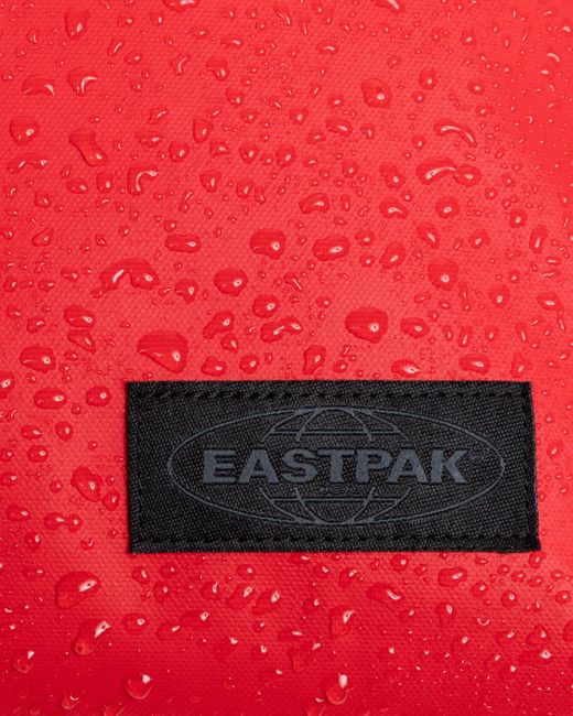 Travelpack, 100% Polyester di Eastpak in Red