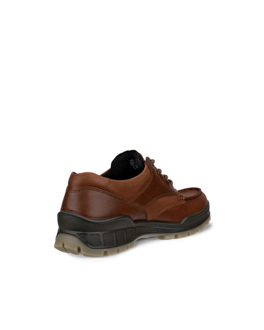 Ecco Brown Track 25 for men
