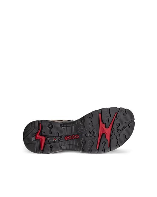 Ecco Black Offroad