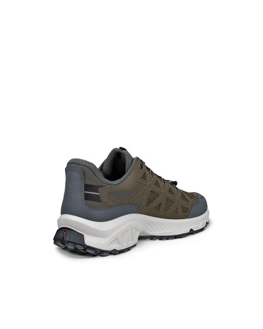 Ecco Gray Receptor Xp for men