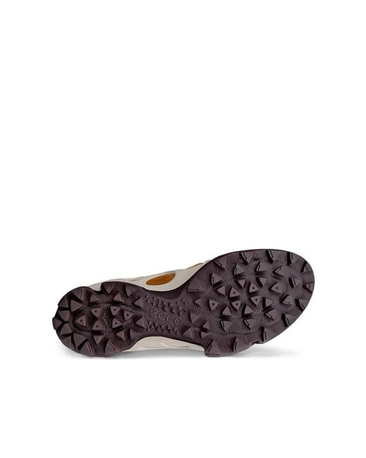 Ecco Brown Biom C-Trail