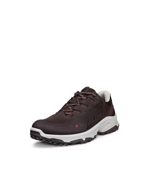 Ecco Brown Receptor Xp for men