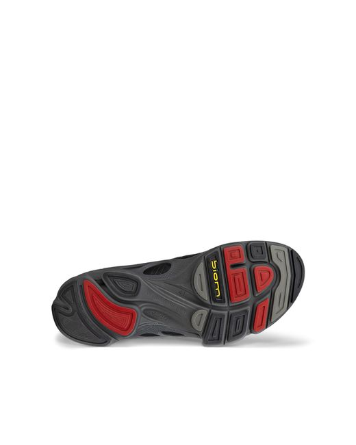 Ecco Blue Biom C for men