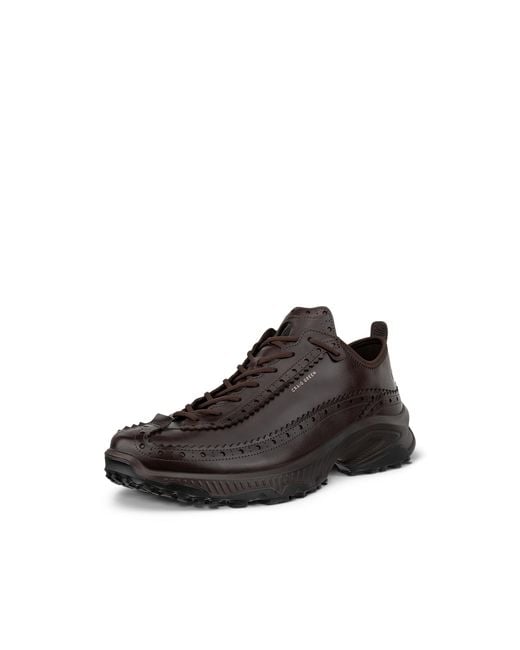 Ecco Brown Cg Receptor Xp for men